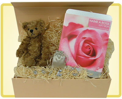 'Name a Rose' - New Baby Gift